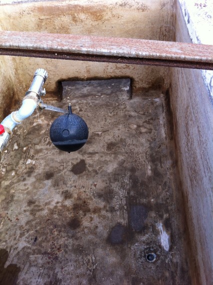 prima di vetrificare